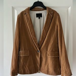 Banana Republic Bronze Velvety Blazer